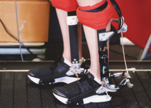 An Ankle Exoskeleton can make us Run Faster