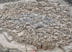 Archeologists Find Circles of Mammoth Bones Across Europe – But How This it Impact Science?