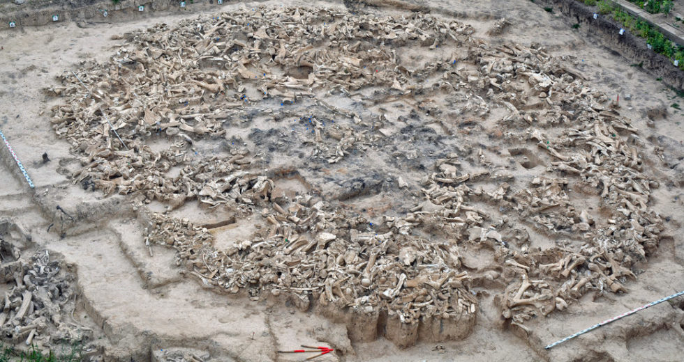 Archeologists Find Circles of Mammoth Bones Across Europe – But How This it Impact Science?