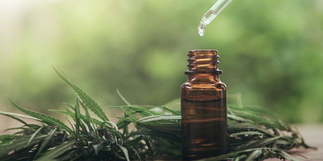 CBD Knowledge: What CBD Products Should You Consider?