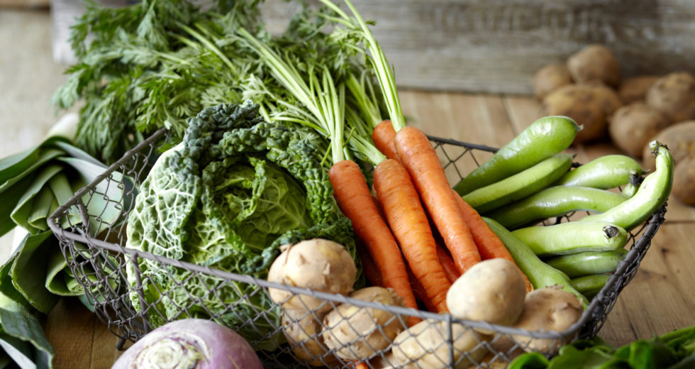 Healthiest Vegetables to Grow From Seeds – Grow Your Own Food