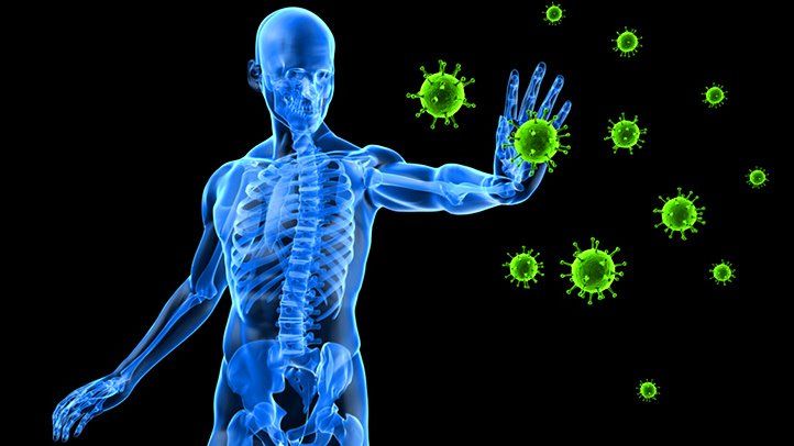 8 Powerful Natural Ingredients for Boosting the Immune System
