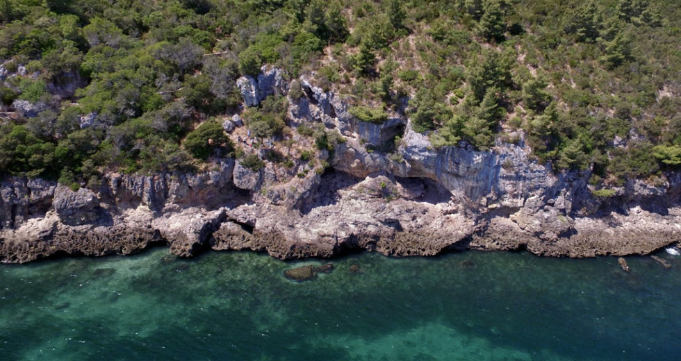 Neanderthals were Eating Seafood, According to New Research