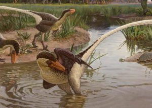 New Species of Feathered Raptor Found in New Mexico – 60 Million Years Ago