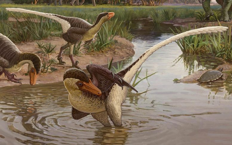 New Species of Feathered Raptor Found in New Mexico – 60 Million Years Ago