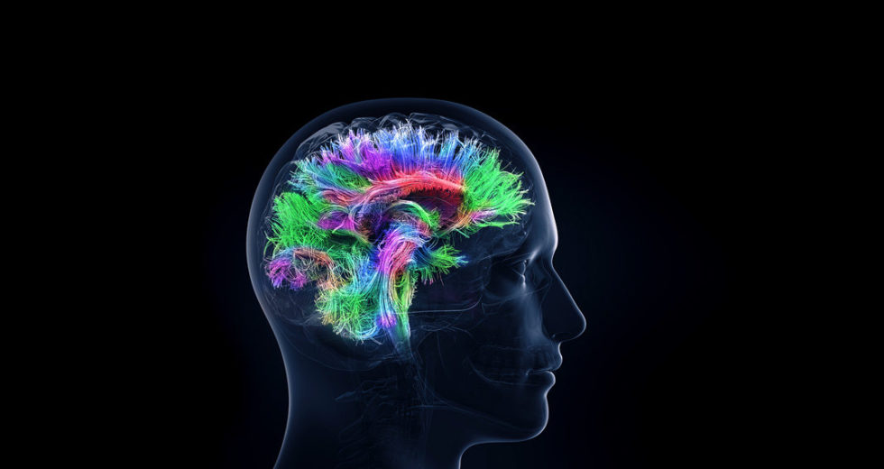 The Brain Changes Genes In Neurons To Create And Grow Memories