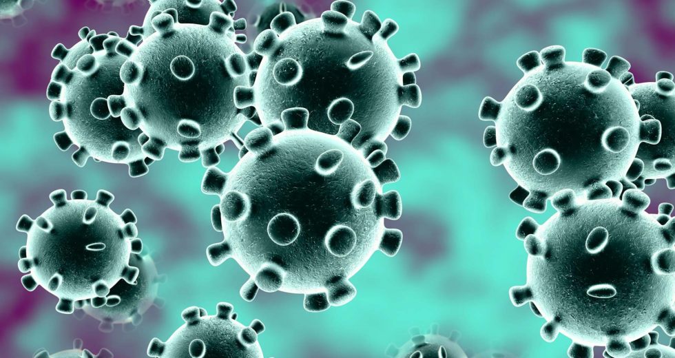 Coronavirus Vaccine: You Can Help Scientists Find One For Covid-19 Right From Your PC