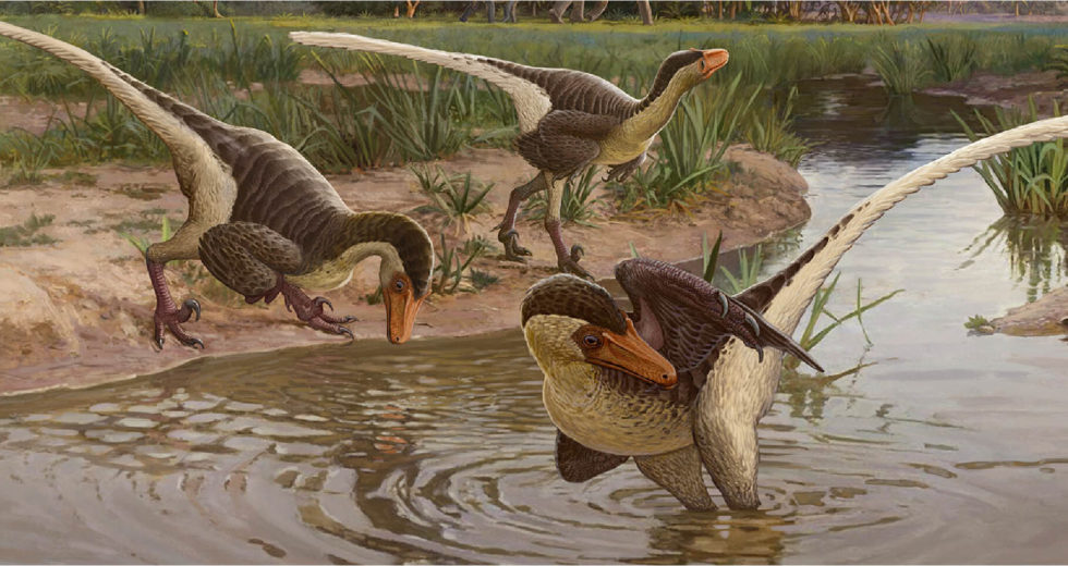 Feathered Dinosaur Fossils Were Found In New Mexico