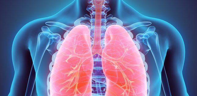 Top 5 Nutritious Foods for Healthy Lungs During the COVID-19 Pandemic