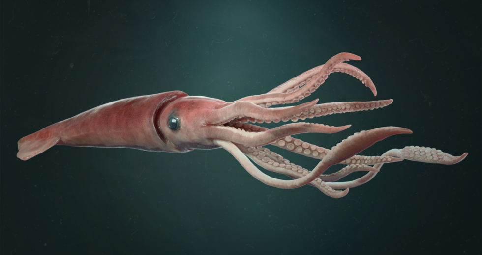 Gene Regulatory Factors Activate Bacteria to Destroy Rivals and Create Symbiosis in Squids