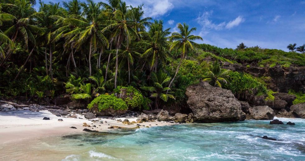 New Species On The Christmas Island To Change What We Know About Evolution