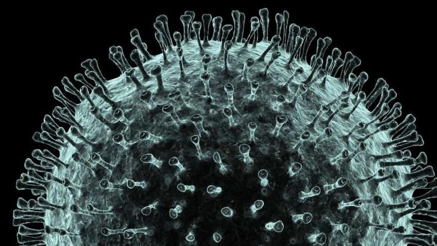 Ontario Announces The Eighth Coronavirus Case In The Province