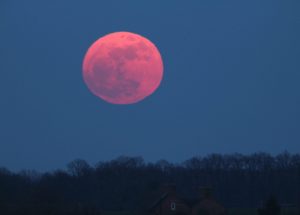 Pink Supermoon In April Will Be The Biggest Full Moon Of The Year