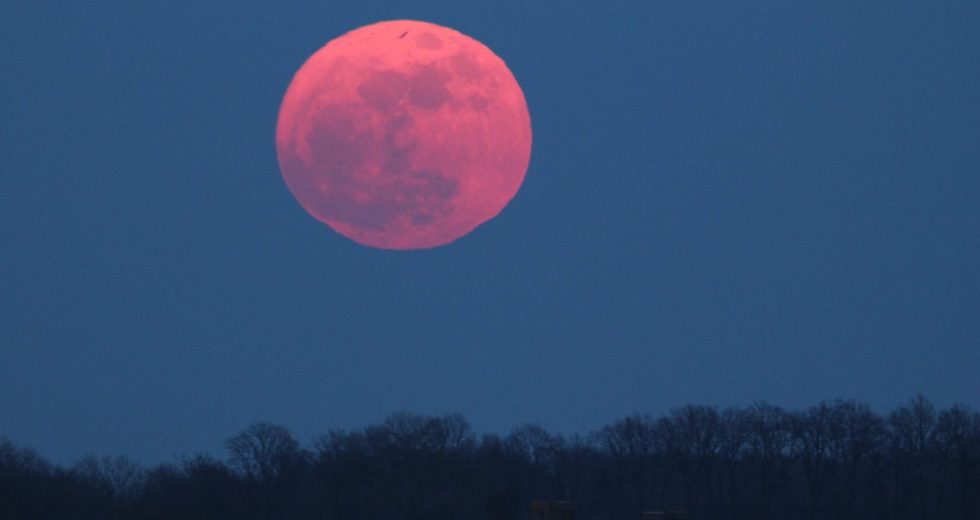 Pink Supermoon In April Will Be The Biggest Full Moon Of The Year