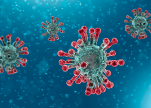 Vitamins, Iron, Zinc, And Selenium Can Help Your Immune System Fight COVID-19