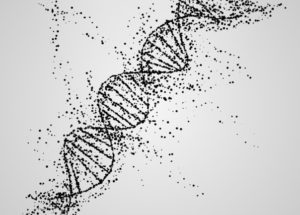 Ancient DNA Study Revealed That Neanderthals And Modern Humans Interbred Across Eurasia
