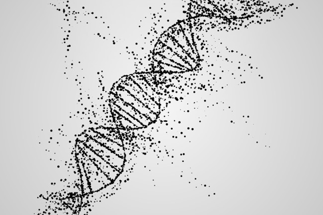 Ancient DNA Study Revealed That Neanderthals And Modern Humans Interbred Across Eurasia