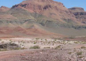 Volcanoes Released the Same Amount of CO2 During the Mass Extinction Events as They Do Today