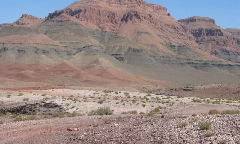 Volcanoes Released the Same Amount of CO2 During the Mass Extinction Events as They Do Today
