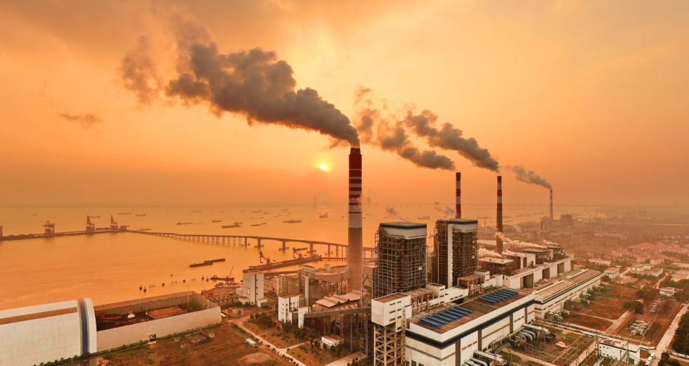 Future CO2 Emissions Could Lead To The Sixth Extinction