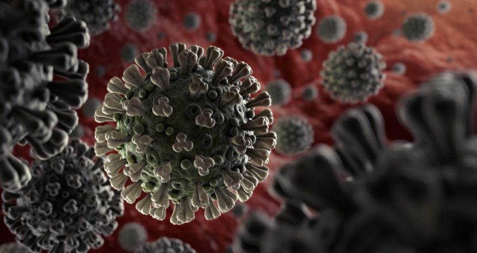 Coronavirus Questions Answered by Researchers