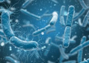 Deep-Sea Bacteria That Produce Energy Thanks To Their Never-Before-Seen Metabolism