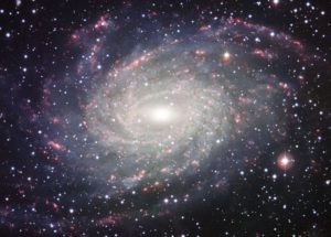 Computer Simulations Revealed That Milky Way Catapults Stars in the Outer Halo