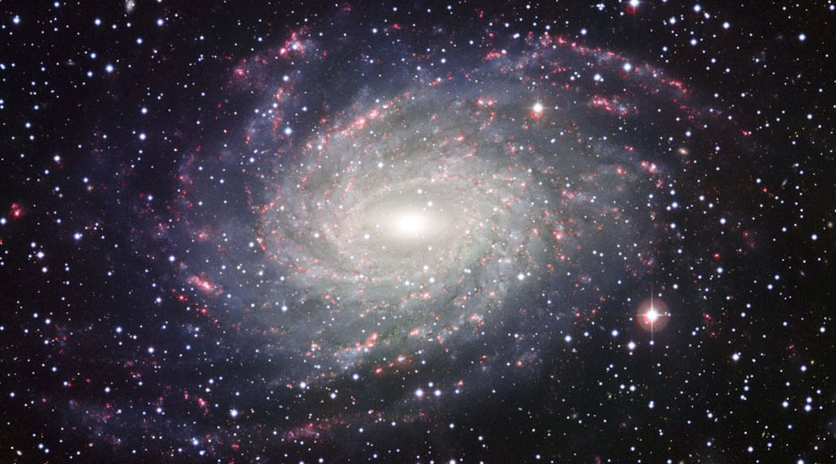 Computer Simulations Revealed That Milky Way Catapults Stars in the Outer Halo