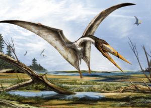 The Most Dangerous Place On Earth Was Sahara In Ancient Times Due To Flying Reptiles