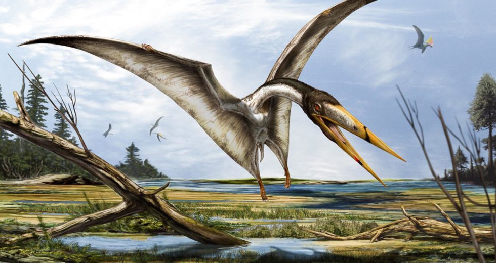 The Most Dangerous Place On Earth Was Sahara In Ancient Times Due To Flying Reptiles