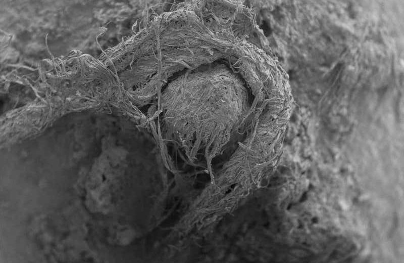 Neanderthals Could’ve Made the Oldest String In The World