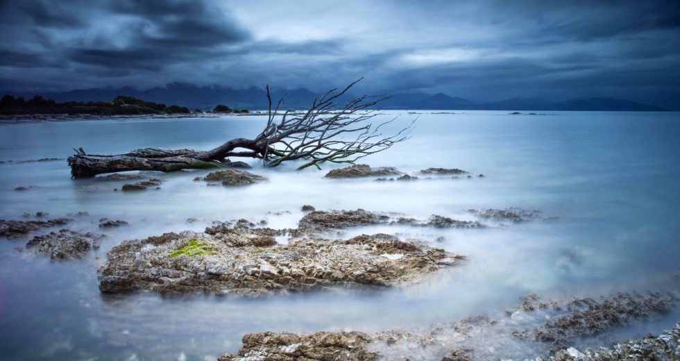 Ocean Deoxygenation Led To A Massive Extinction 440 Million Years Ago