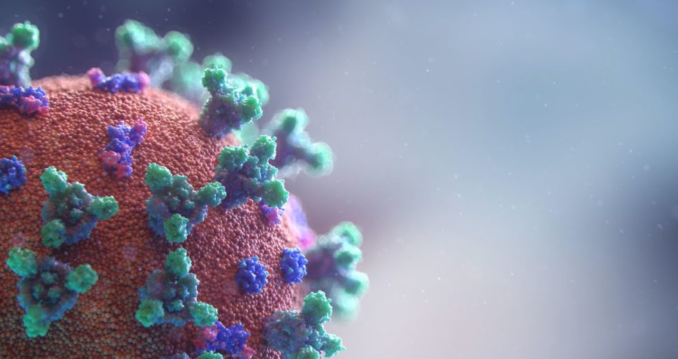 COVID-19 Controversial Solution – Immunity Certificates