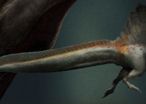 Was Spinosaurus Able to Swim?