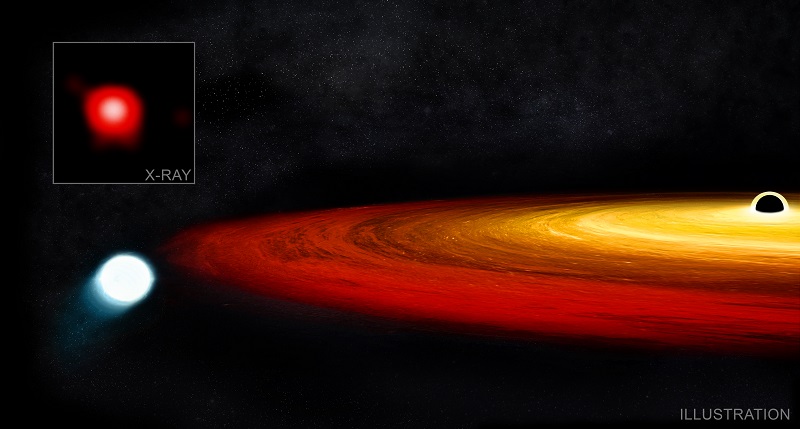 Black Hole Is Continuously Consuming A White Dwarf Caught In Its Orbit