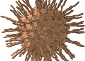 New Research Shed Light On Strange, Giant Viruses