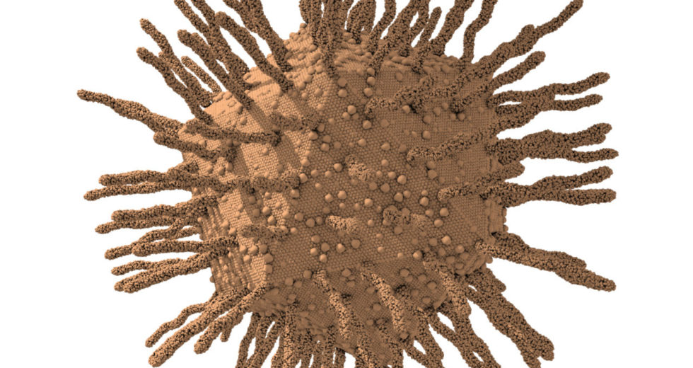New Research Shed Light On Strange, Giant Viruses