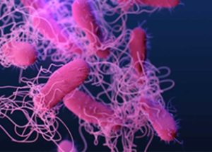 Superbugs Breakthrough – New Study On Bacterial Structure Could Help Lower Antibiotic Resistance