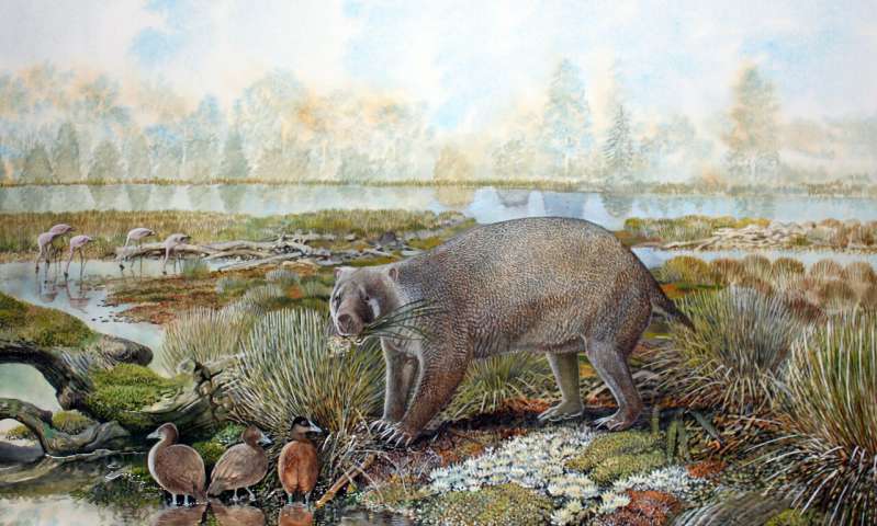 A Peculiar Creature Was Recently Discovered In Australia