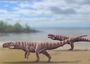 Bipedal Crocodile Ancestors Uncovered