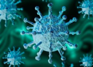 Future COVID-19 Treatments Made Possible by Animal Testing