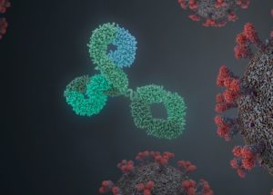 Coronavirus Antibody Levels In Recovered COVID-19 Patients – New Unexpected Details Unveiled