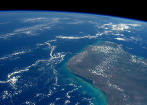 Chicxulub Collision: the Ending of Existing Life or the Beginning of a New Era?