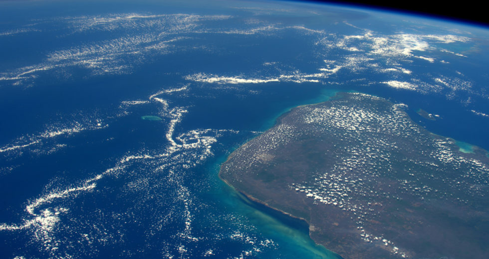 Chicxulub Collision: the Ending of Existing Life or the Beginning of a New Era?