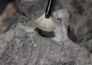 315,000-Year-Old Human Remains Just Discovered