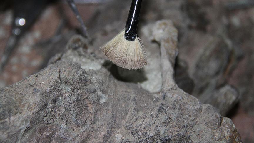 315,000-Year-Old Human Remains Just Discovered