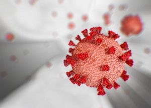 Research Seems to Indicate that Mutations Make the Virus More Infectious