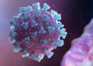 The Immune System: a Help of a Threat during the COVID-19 Fight?