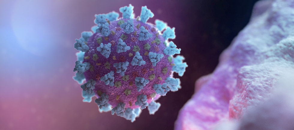 The Immune System: a Help of a Threat during the COVID-19 Fight?