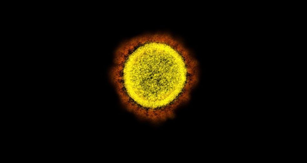 COVID-19 is More Sinister for The Human Body Than Scientists Initially Thought